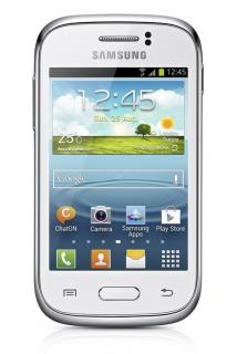 Samsung Galaxy Young (S6310) NFC White