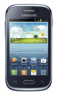 Samsung Galaxy Young (S6310) NFC Blue