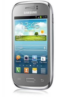 Samsung Galaxy Young (S6310) NFC Silver
