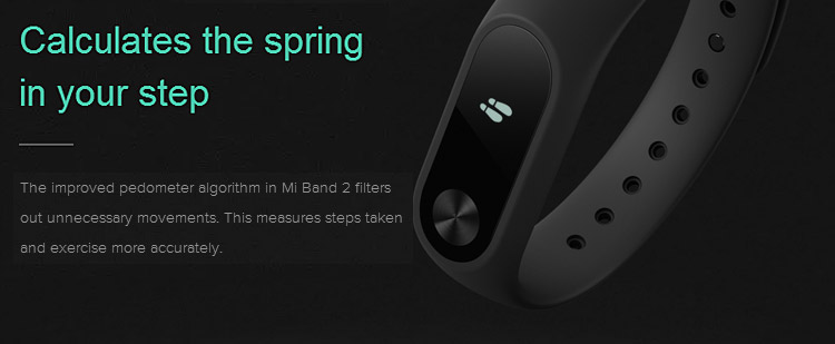 Xiaomi Mi Band 2