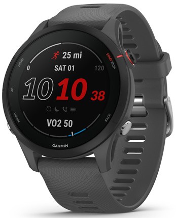 Garmin Forerunner 255 sivé