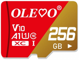 PAMAŤOVÁ KARTA microSDXC - 256GB